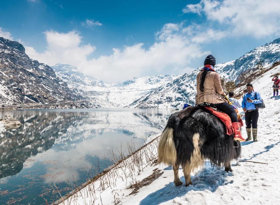Snow White Retreat Hotel And Restaurant Гангток Экстерьер фото